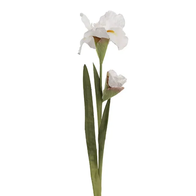 Iris Real Touch Stem White (78cmH)