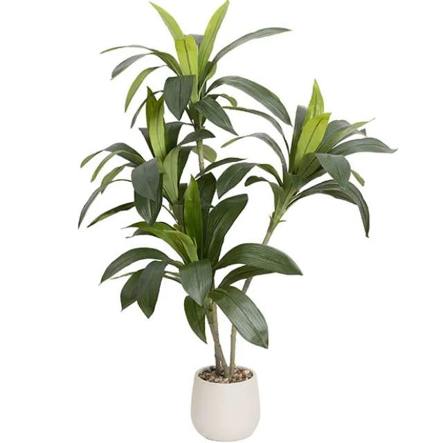 Faux Real Touch Dracaena in White Pot Green (120cmH)