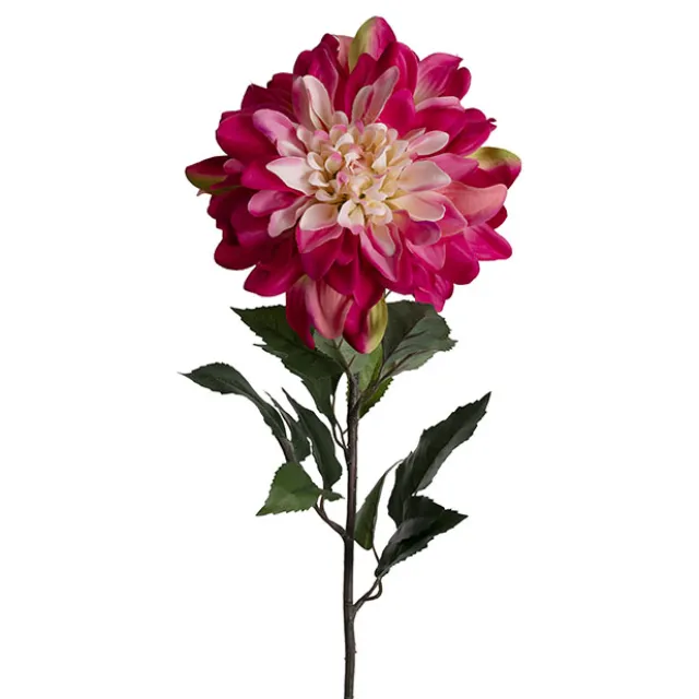 Dahlia Long Stem w Lge Flower Head Hot Pink (19cmDx80cmH)