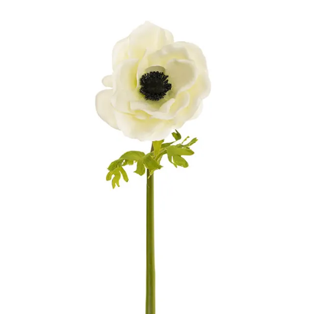 Anemone Flower Stem Soft Green (14cmDx57cmH)