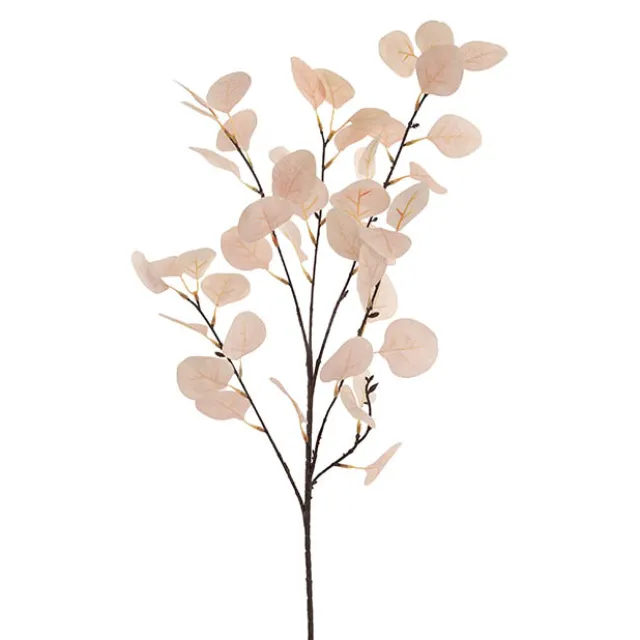 Frosted Eucalyptus Spray Soft Champagne (90cmH)