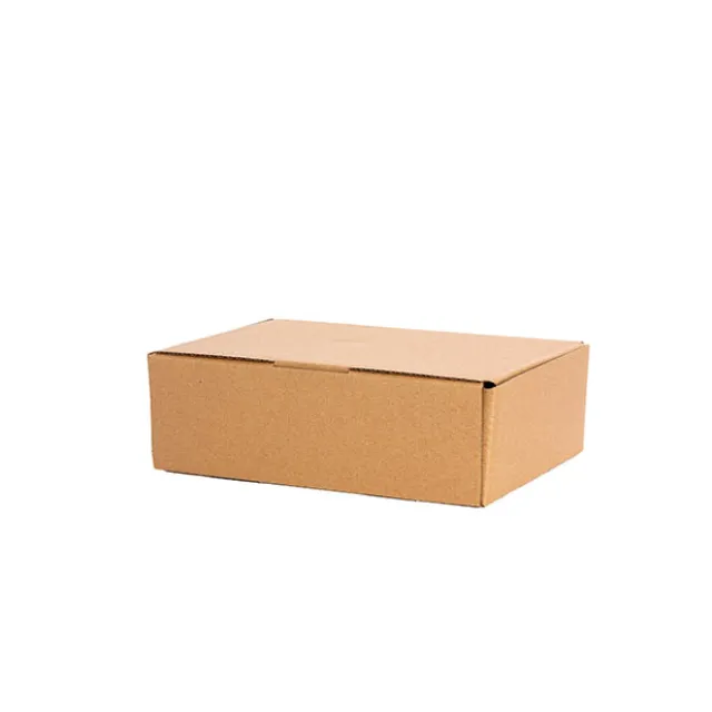 Kraft Mailing Box Pack 10 A5 Small Brown (220Wx160Dx60mmH)