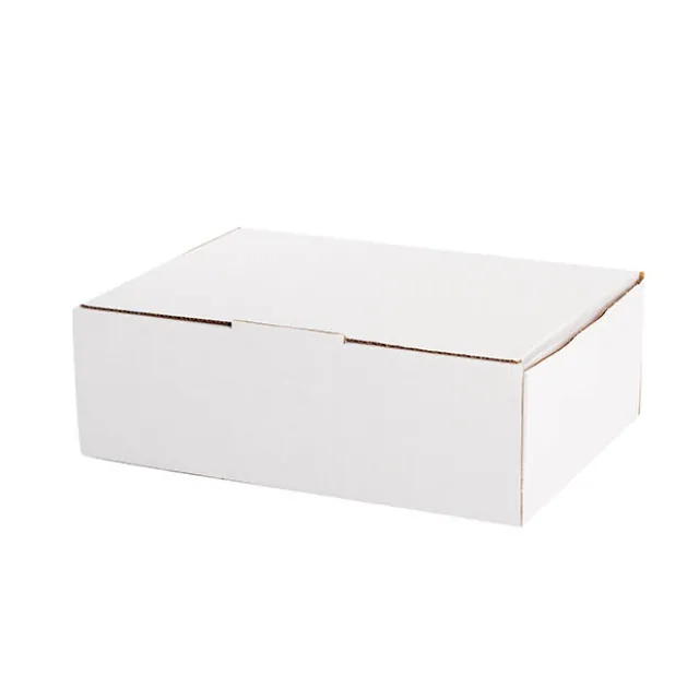 Kraft Mailing Box Pack 10 A4 Medium White (310Wx225Dx102mmH)