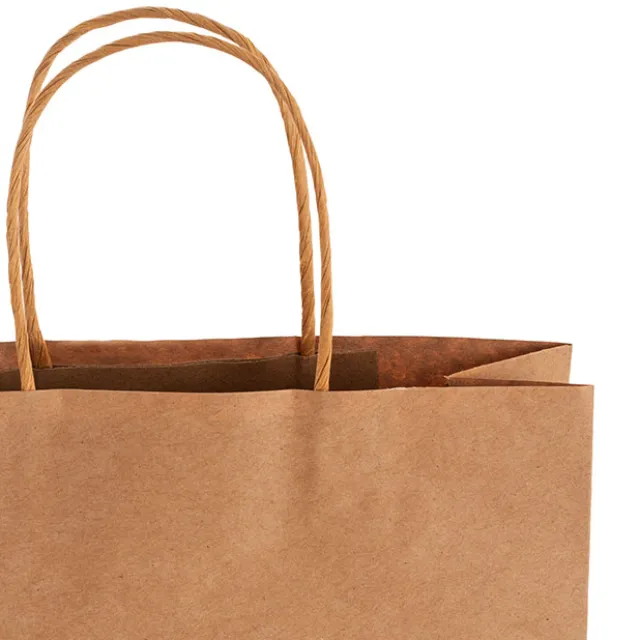 Kraft Paper Bag Boutique Med Brown Pk10 (220Wx80Gx180mmH)