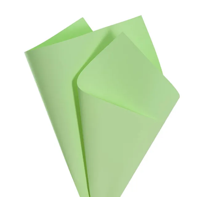 Kraft Paper Coloured 80gsm Paradise Green Pack 100 (50x70cm)