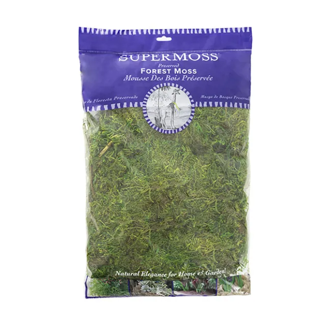 Forest Moss Preserved Bag Moss Fresh Green (225gm)