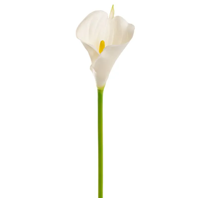 Calla Lily Open Bloom Stem Real Touch White (70cmST)