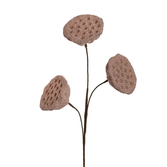 Lotus Pod Spray Dusty Pink (63cmH)