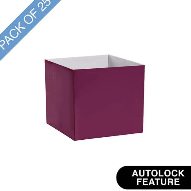 Mini Posy Box Gloss Autolock Base Pk25 Sugar Plum (13x12cmH)