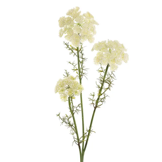 Lace Flower Spray White (73cmH)