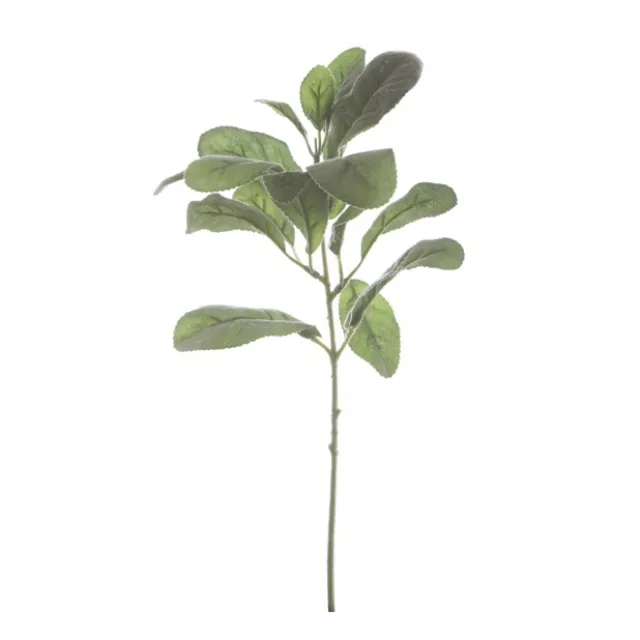 Lambs Ear Spray Grey (34cmH)