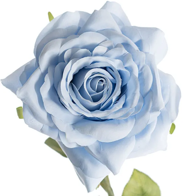 Large Colombian Rose Stem Soft Blue (20cmDx86cmH)