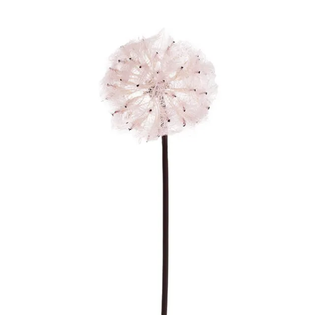 Large Dandelion Stem Soft Pink (12cmDx69cmH)