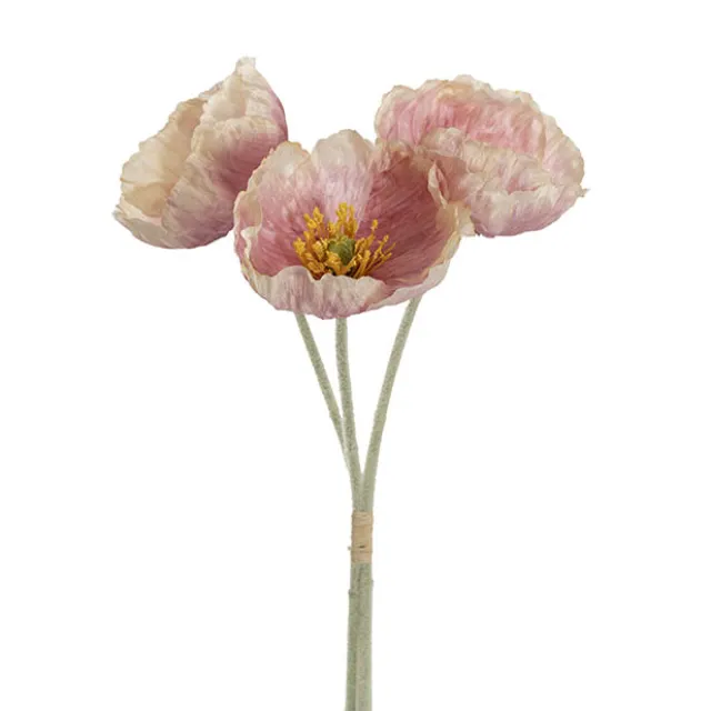 Large Poppy 3 Stem Bunch Blush Pink (14cmDx61cmH)