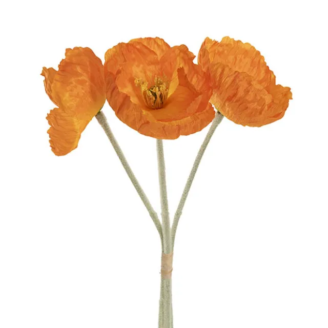 Large Poppy 3 Stem Bunch Orange (14cmDx61cmH)
