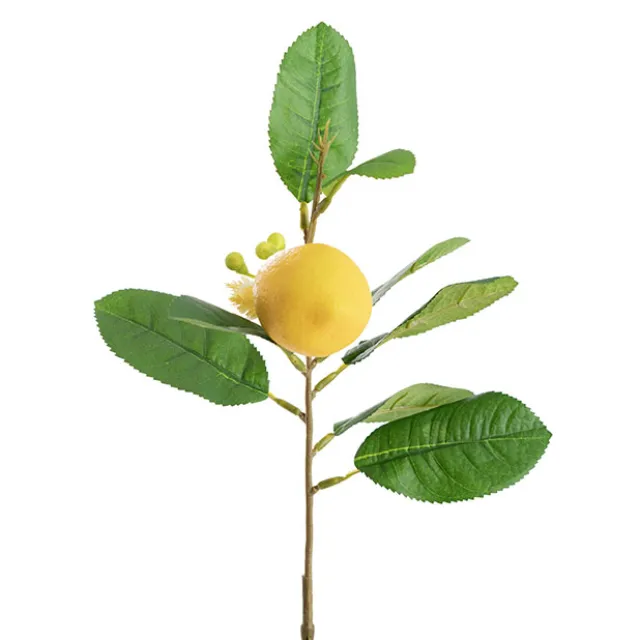 Lemon Spray Yellow (42cmH)