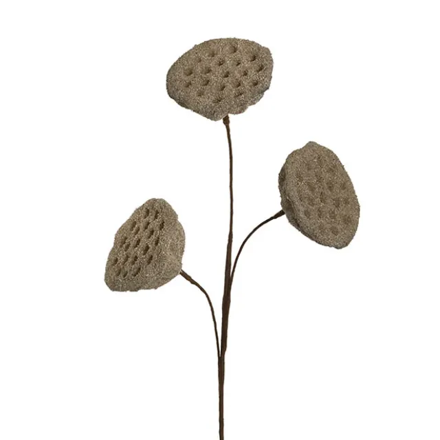 Lotus Pod Spray Brown (63cmH)