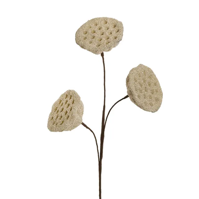 Lotus Pod Spray Nude Beige (63cmH)