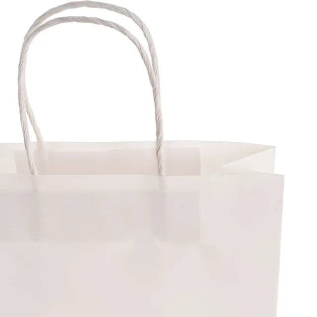 Kraft Paper Bag Boutique Med White Pk10 (220Wx80Gx180mmH)