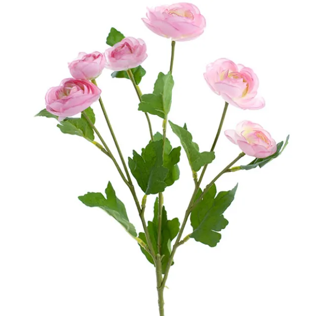 Mini Ranunculus Spray Pink (67cmH)
