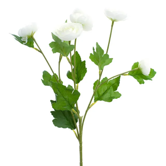 Mini Ranunculus Spray Cream (67cmH)