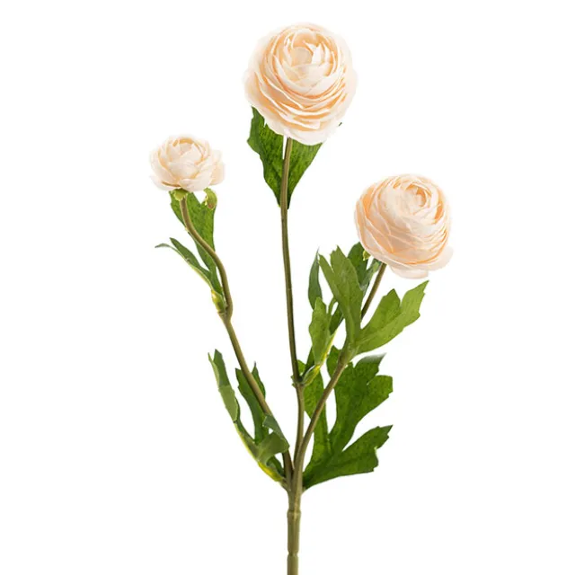 Petite Ranunculus Spray Peach (42cmH)