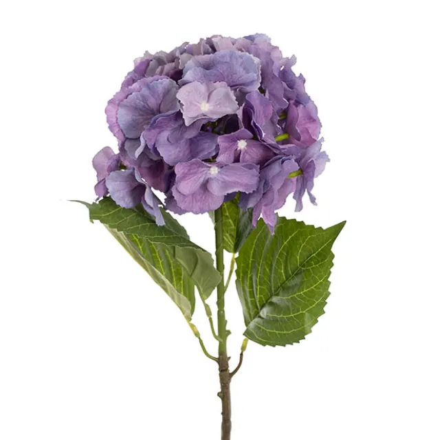 Eldorado Hydrangea Stem Violet Purple (18cmDx64cmH)
