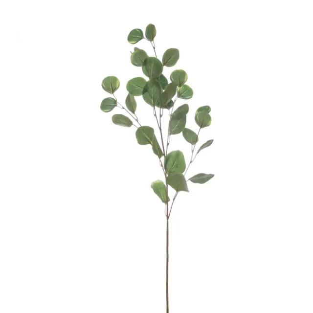 Eucalyptus Silver Dollar Spray Green (90cmH)