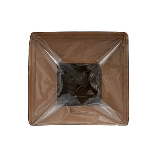 Flower Bouquet Classic POD Med Pack 5 Blush (17.5x17.5x27cm)