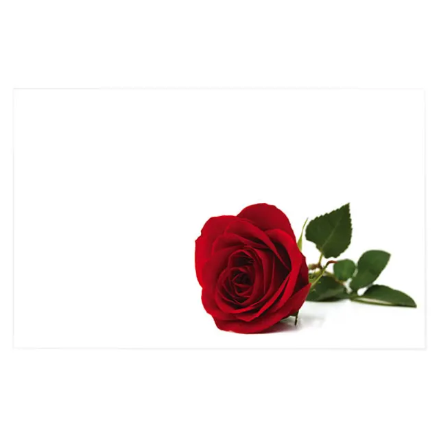 Cards White Red Rose Full Bloom (10x6.5cmH) Pack 50
