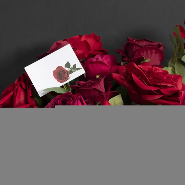 Cards White Red Rose Full Bloom (10x6.5cmH) Pack 50