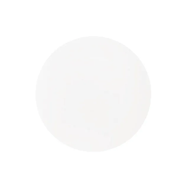 Clear Acrylic Plates Pack 2 (30cmDx0.03cmH)