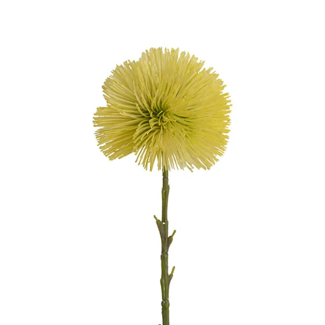 Onion Ball Stem Yellow (47cmH)