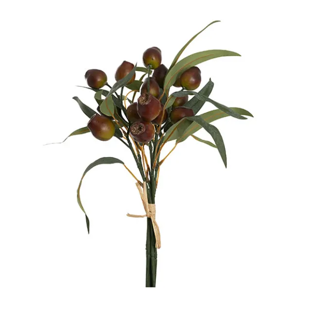 Native Eucalyptus Gumnut Bunch Brown (36cmH)