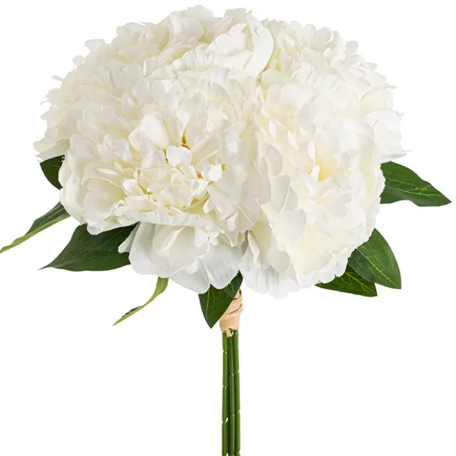 Peony Bouquet x 5 Flower Heads White (32cmH)