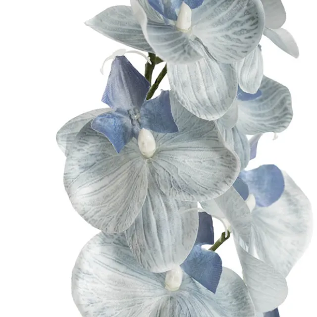 Phalaenopsis Orchid Real Look 8 Flowers White Blue (78cmH)