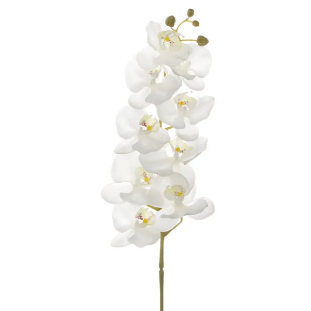 Phalaenopsis Orchid Real Touch 9 flowers White (100cmH)
