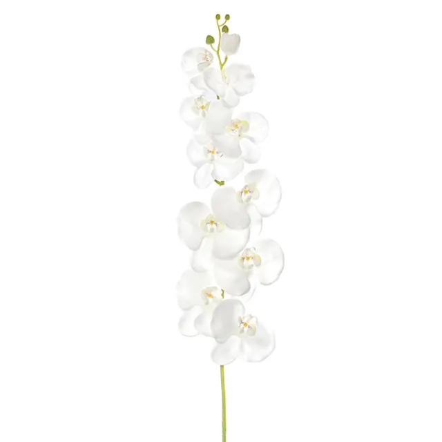 Phalaenopsis Orchid Real Touch 11 flowers White (126cmH)