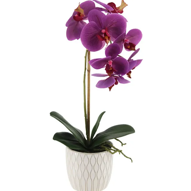 Phalaenopsis Orchid Real Touch Single Potted Purple (46cmH)