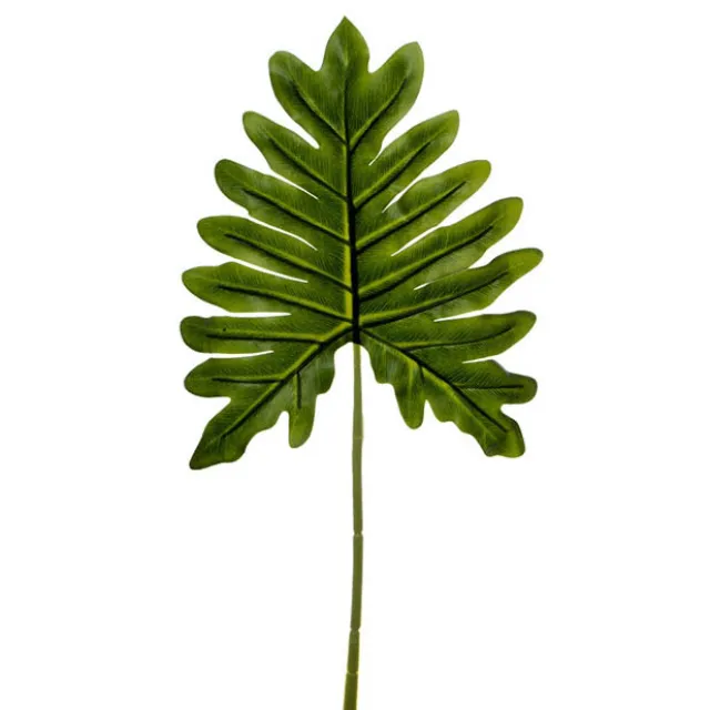 Philo Fingers Leaf Pick Dark Green (55cmH)