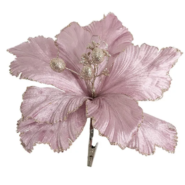 Poinsettia w Clip Pack 3 Pink (24cmDx10cmH)