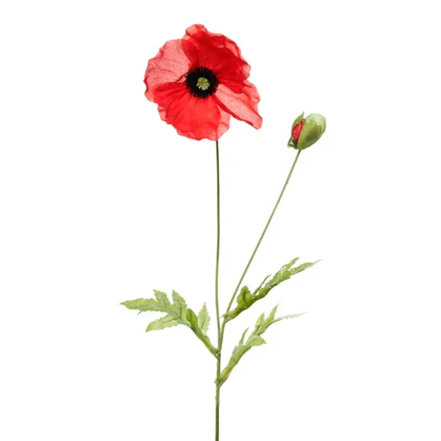 Poppy Flower Stem with Black Centre Red (11cmDx60cmH)