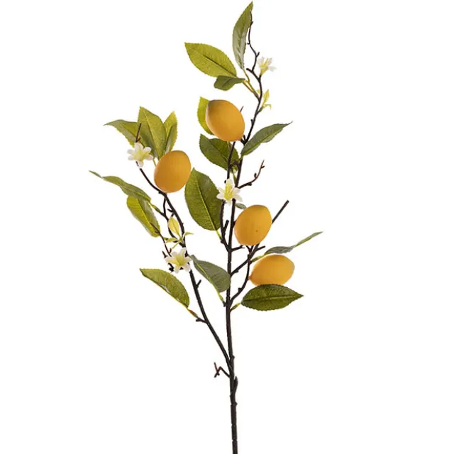 Lemon w Flower Bud Spray Yellow (60cmH)