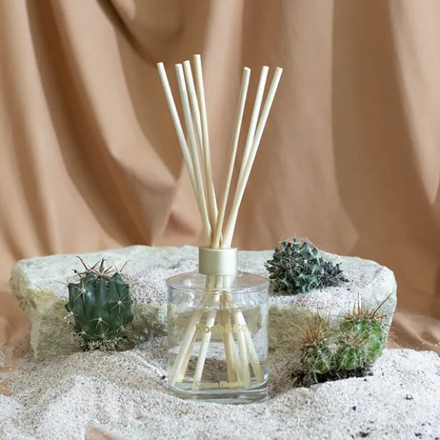 Premium Fragrance Diffuser Leisure Cactus Blossom 250ml