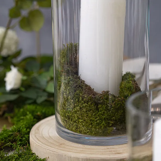 Premium Preserved Hair Moss Window Box 800g Light Green