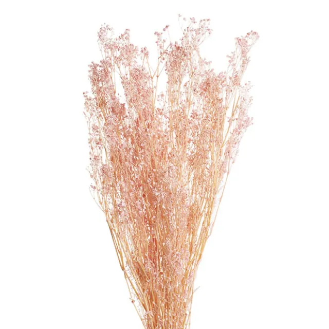 Preserved Dried Baby's Breath Bunch Soft Pink (57cmH)