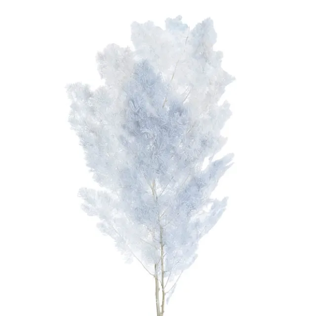 Preserved Dried Ming Fern Bunch 90g Soft Ombre Blue