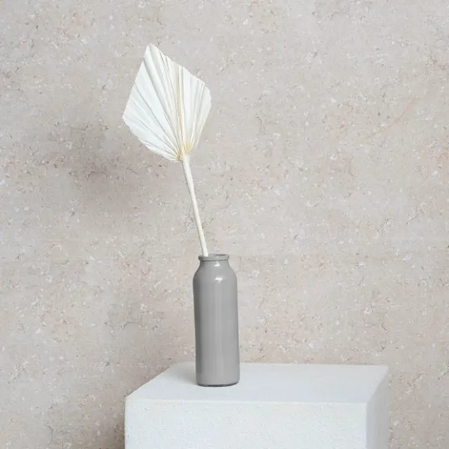 Preserved Dried Palm Spear Leaf Bleach White (45-50cmH)