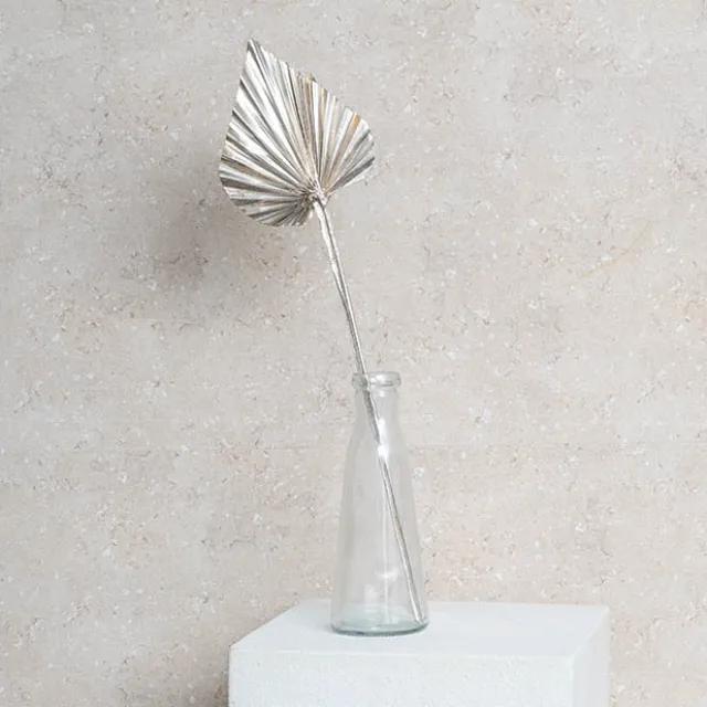 Preserved Dried Palm Spear Leaf Champagne (45-50cmH)