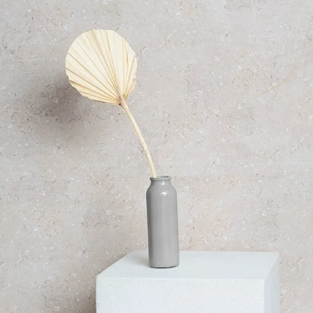 Preserved Dried Round Cut Palm Leaf Light Beige (40-45cmH)